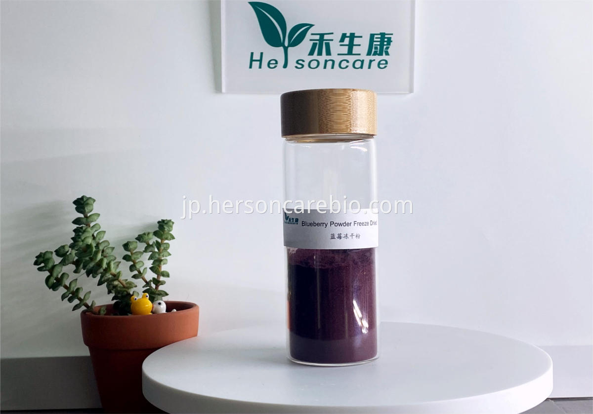 乾燥ブルーベリーパウダーをフリーズします1 HERSONCARE Freeze Dried Blueberry Powder - Premium Quality